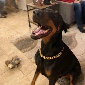 Meet your Posher, Chris